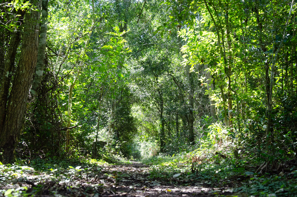 Reserva Natural Tagatiyamí